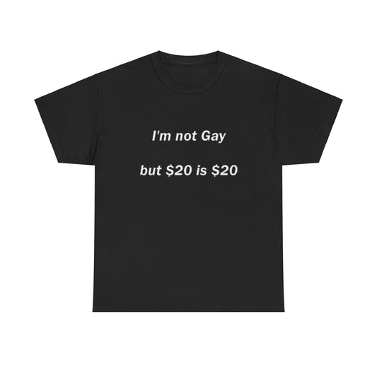 I'm not gay but $20 is $20 T-shirt